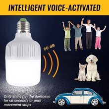 Load image into Gallery viewer, Motion Sensor Lamp